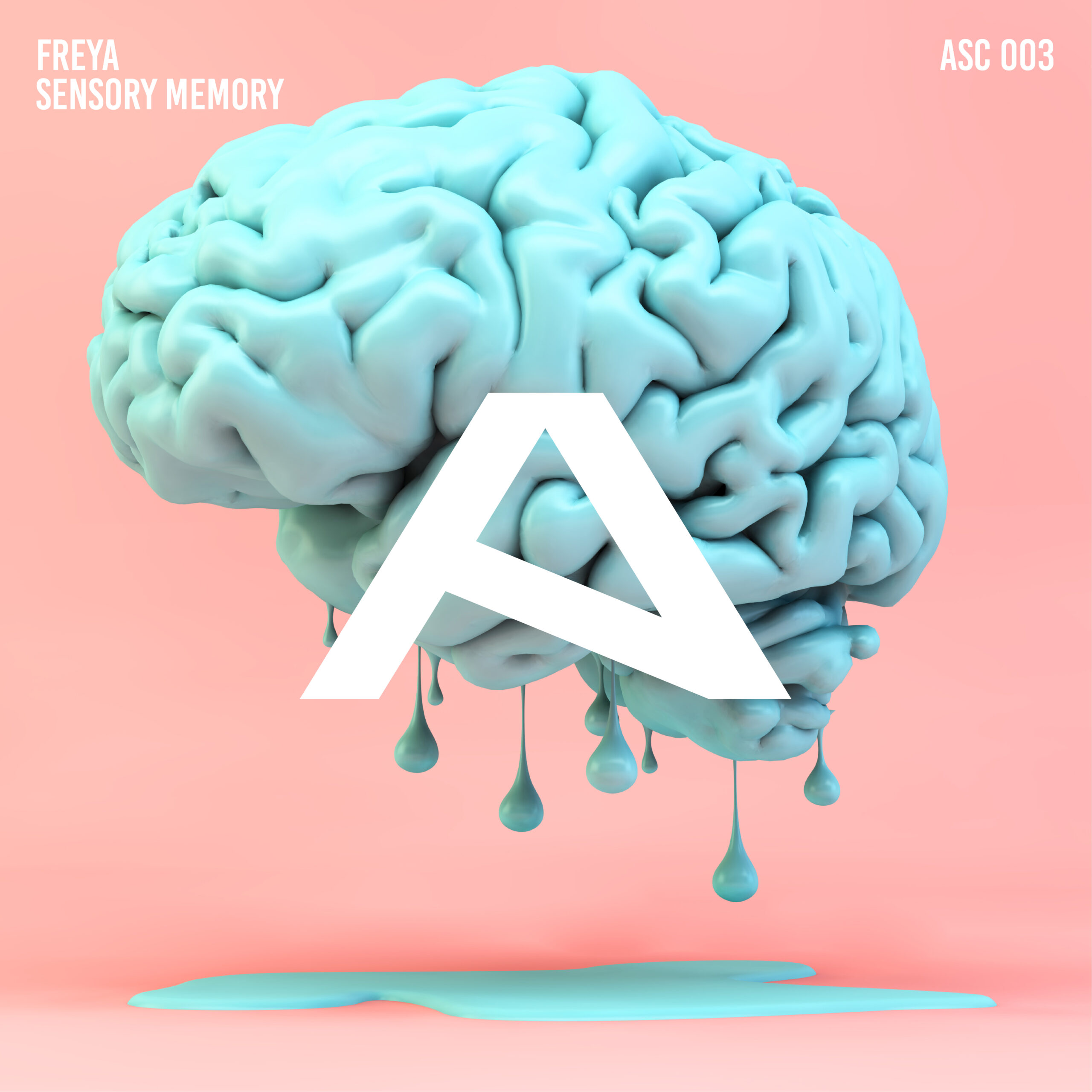 FREYA – Sensory Memory